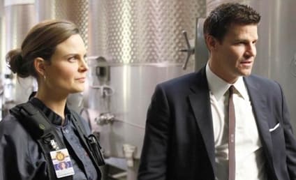 David Boreanaz Dishes on Fate of Seeley Booth
