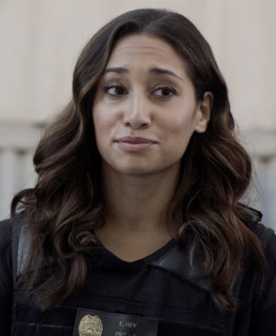 Amused Observer - Hawaii Five-0 Season 9 Episode 19