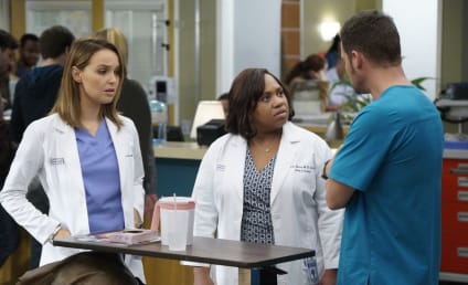 Grey's Anatomy Season 13 Episode 6 Review: Roar