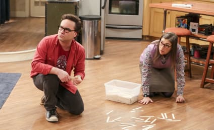 Watch The Big Bang Theory Online: Season 11 Episode 13
