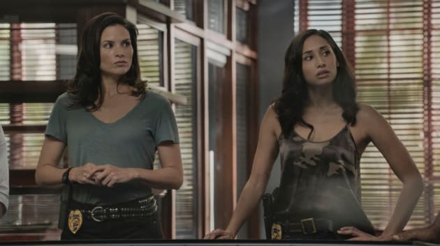 Helping to Track - Hawaii Five-0 Season 10 Episode 21