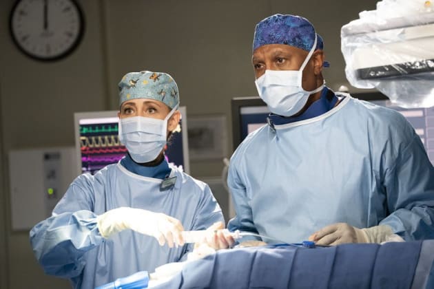Grey's anatomy season 15 new arrivals episode 14 full episode
