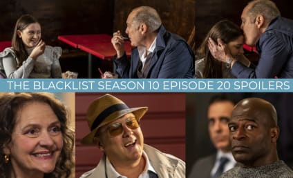 The Blacklist Season 10 Episode 20 Spoilers: Raymond Says Goodbye to Friends