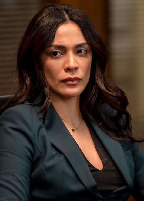 Maroun and Price Take a Risk - Law & Order Season 22 Episode 12