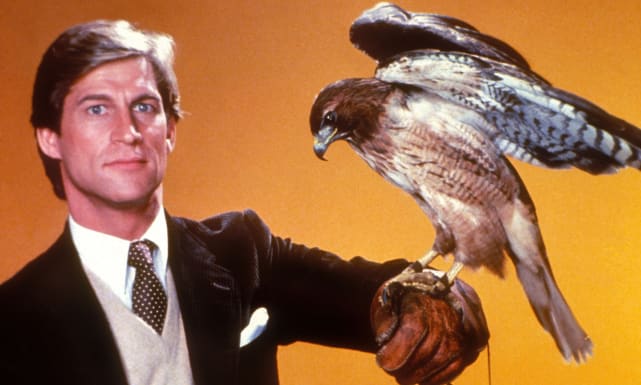 Manimal - 1983