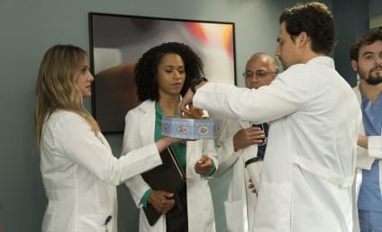 Grey's Anatomy Season 14 Episode 20 Review: Judgment Day
