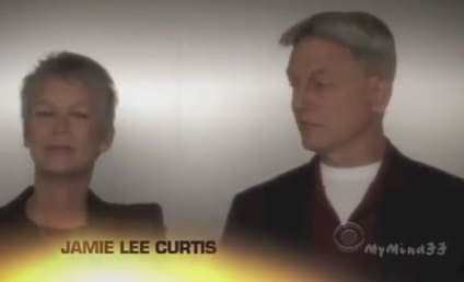 Ncis Spoilers Page 9 Tv Fanatic