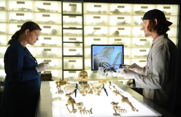 Bones Review The Ultrasound And The Gluttony Tv Fanatic