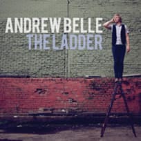 Wants What It Wants Lyrics Andrew Belle ※