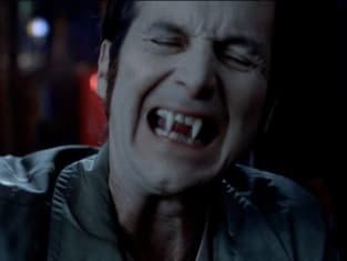 True blood putlocker on sale