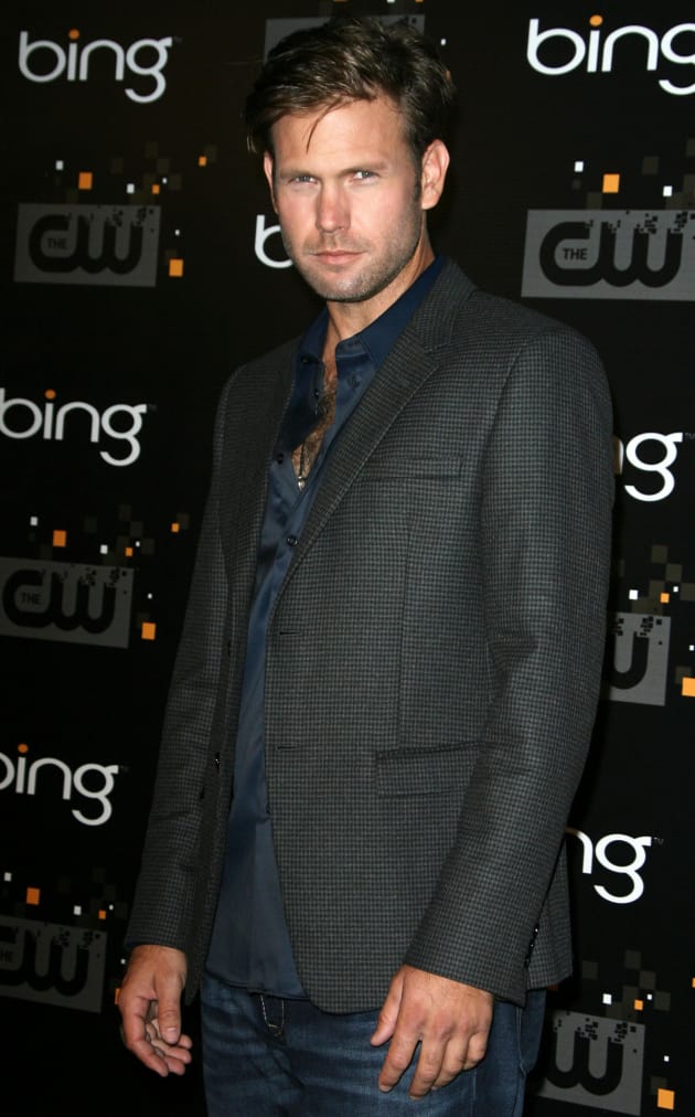 Matt Davis TV Fanatic