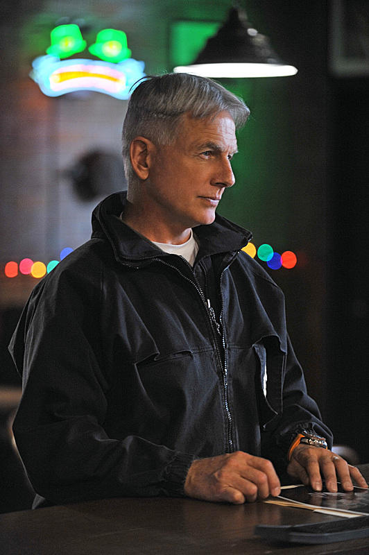Mark Harmon as Leroy Jethro Gibbs