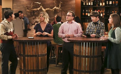 The Big Bang Theory Season 9 Episode 22 Review: The Fermentation Bifurcation