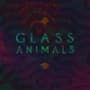 Glass animals exxus