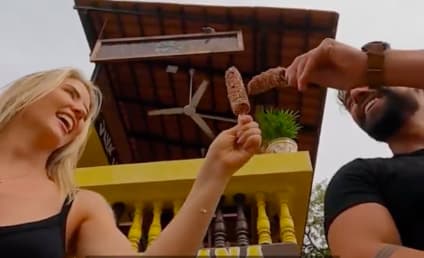 Watch Bachelor in Paradise Online: Season 8 Episode 13