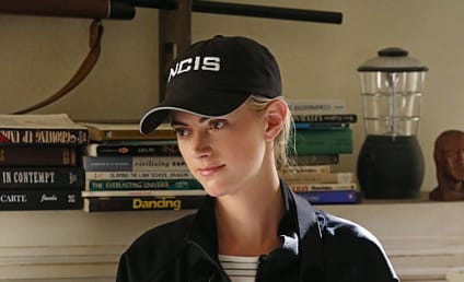 NCIS Review: All Part of the Job