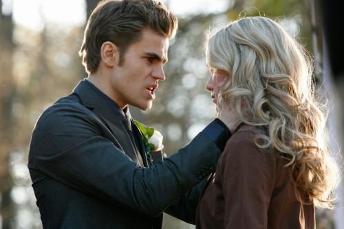 Stefan Caption Pic