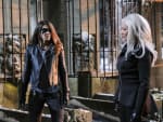In Search of Revenge - Arrow