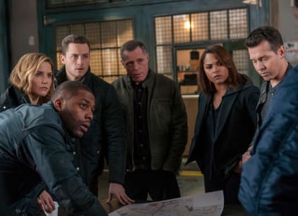 Watch chicago pd shop season 2 putlocker