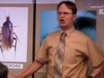 Dwight in Charge