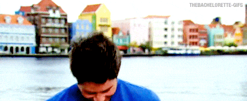 Arie Luyendyk Jr