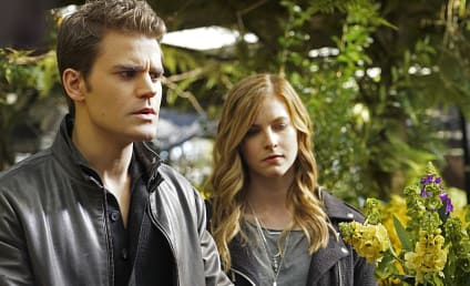 The CW Renewals: The 100, The Vampire Diaries, The Flash, Reign & 7 More!!!