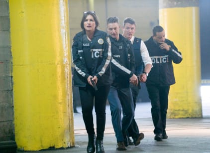 Law and order svu season discount 19 watch online