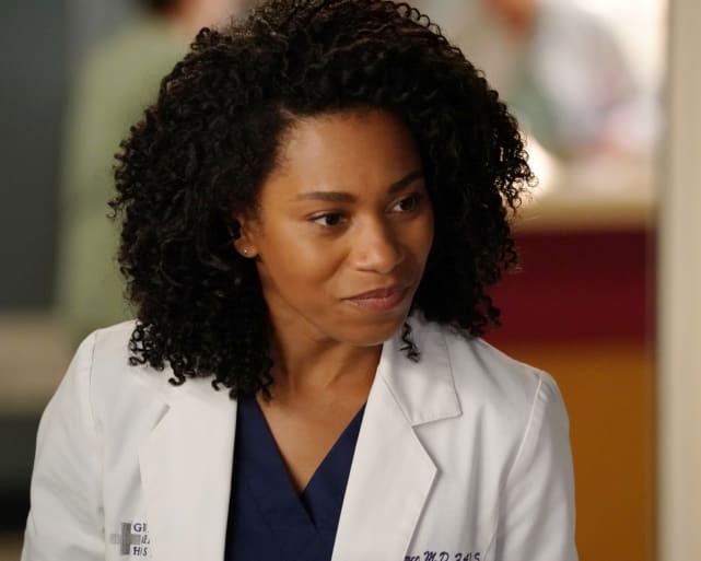 Maggie's on the Case - Grey's Anatomy Season 14 Episode 2