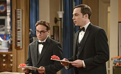 The Big Bang Theory Review: Introducing Mr. and Mrs. Fruit Loops