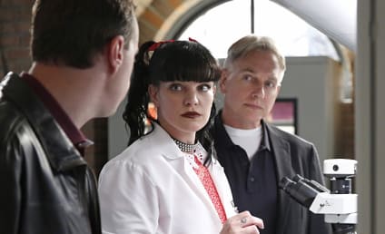 NCIS Review: We Build, We Fight