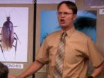 Dwight in Charge