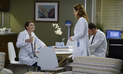 Grey's Anatomy Round Table: Will Meredith and Nathan Make It Official?