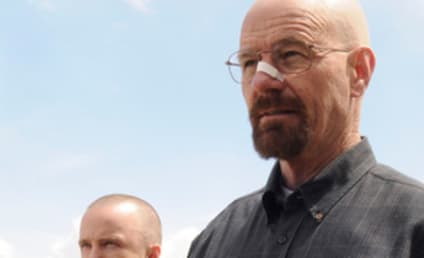 AMC Confirms Breaking Bad and The Walking Dead for Comic-Con