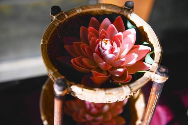 The Lotus Flower - Satisfaction Season 1 Episode 10