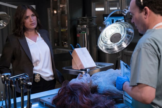 Cold Case - Law & Order: SVU