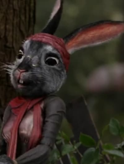 Mrs. Rabbit oUATIW