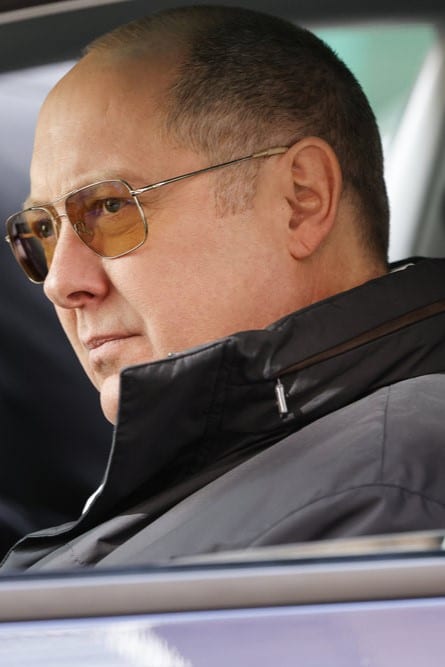 Sonnenbrille raymond sale reddington