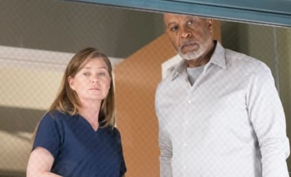 Grey's Anatomy Poised for Its Biggest Shake-Up in Years