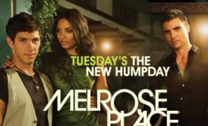 New Melrose Place Posters Promise Sex, Sex and More Sex!