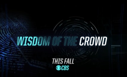 Wisdom of the Crowd First Look: Crowd Sourced Crime Solving