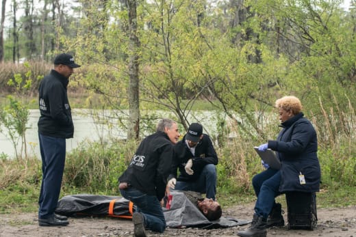 Bayou Creatures - NCIS: New Orleans
