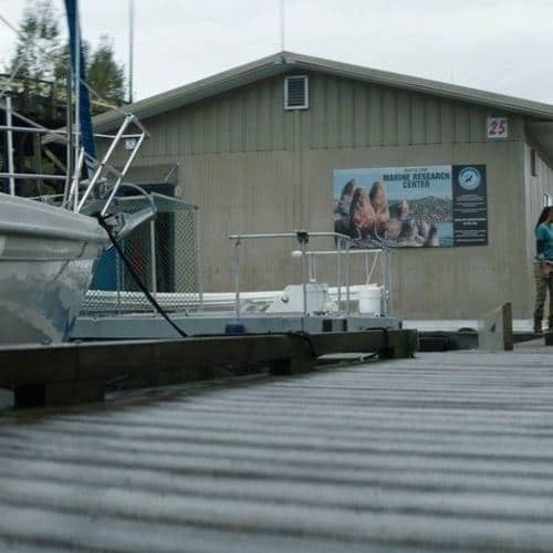 Siren - Bristol Cove Marine Research Center