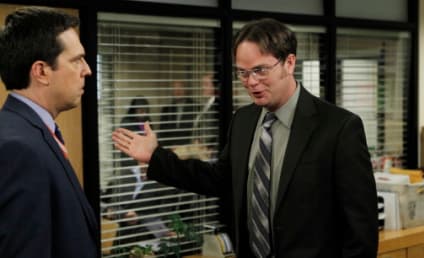 The Office Season 8 Scoop: New Characters to Come