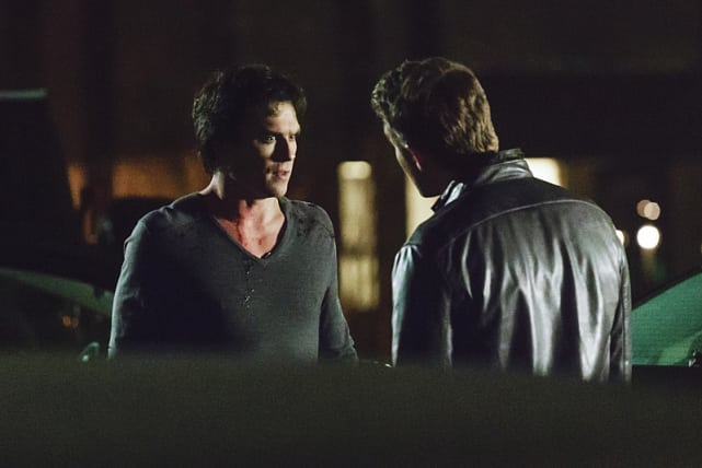 Brother and brother the vampire diaries