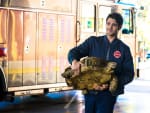 Borrelli and the Tortoise - Chicago Fire