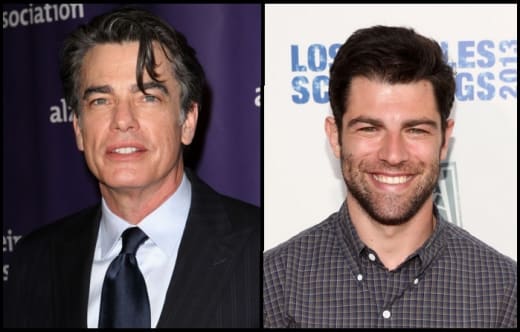 Peter Gallagher New Girl