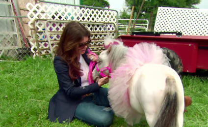 The Real Housewives of Beverly Hills Season 6 Episode 3 Review: Horsing Around