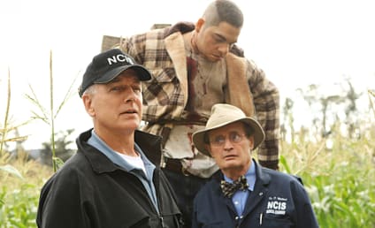 NCIS Review: "Child's Play"
