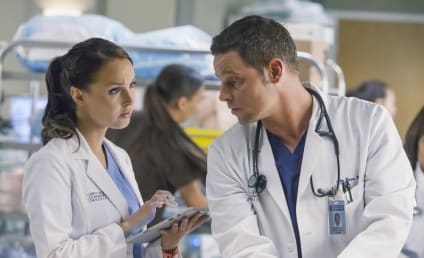 Grey's Anatomy Scoop: New Romances, New Doctors on the Way 