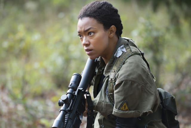 Watch The Walking Dead Season 5 Episode 13 Online TV Fanatic